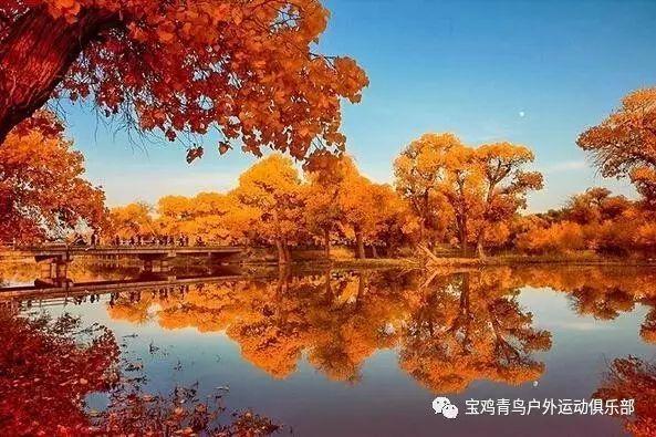 蓝色小球入袋